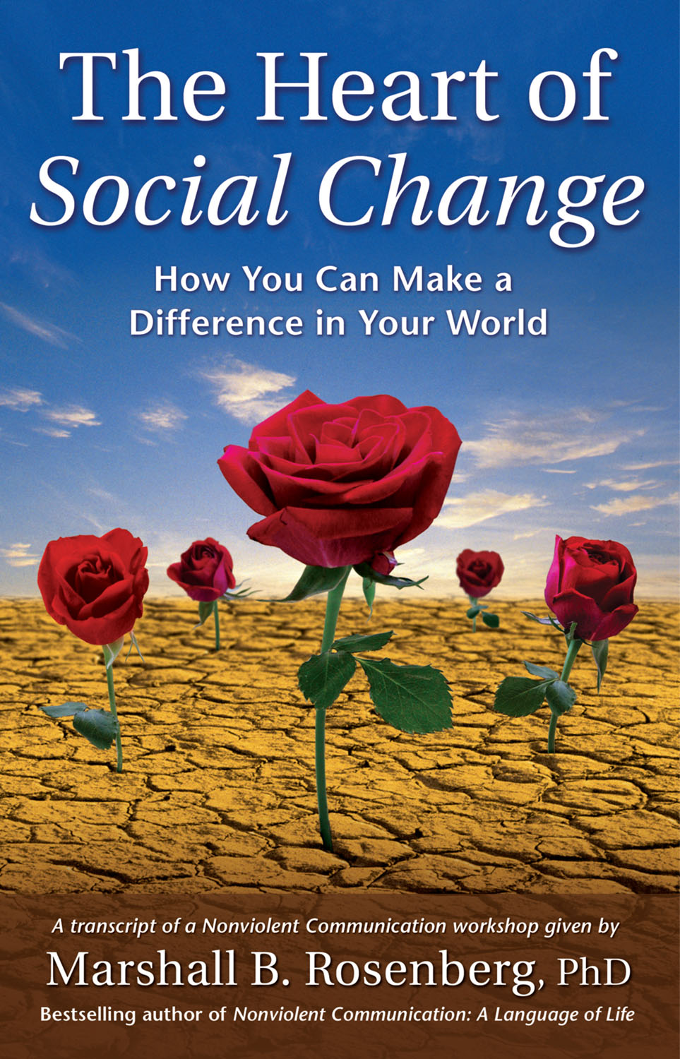 book-about-the-heart-of-social-change-puddledancer-press